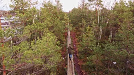 a solo hike in the swampy forest: a drone's eye view