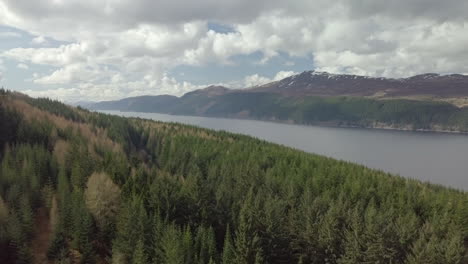 rising aerial footage over fir trees of loch ness looking towards fort augustus, scottish highlands, scotland