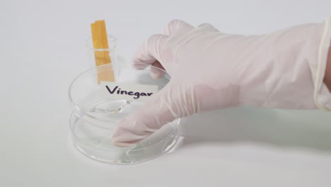 litmus paper changes color in vinegar