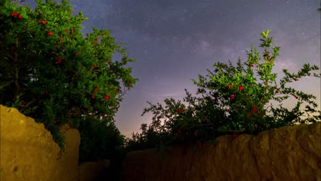 Granatapfel-Obstgarten-In-Der-Frühlingssaison-In-Der-Nacht-Nachthimmel-Voller-Sterne-Und-Galaxie-NASA-James-Webb-Teleskop-Natürliche-Landschaft-Des-Lebens-Auf-Der-Erde-Grünes-Blatt-Baum-Rote-Blume-Blüte-Blüte-Ländlich