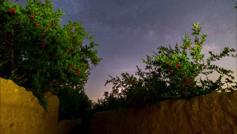 jardín de huerta de granada en la temporada de primavera en la noche cielo nocturno lleno de estrellas y galaxia nasa telescopio james webb paisaje natural de la vida en la tierra árbol de hoja verde flor roja flor rural