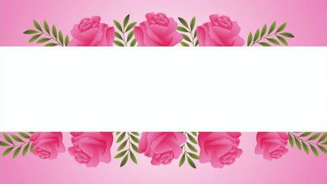 rosas hermosas flores animación de marco cuadrado