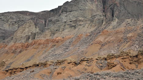 La-Suave-Naturaleza-De-Los-Pastizales-De-Canela-Ridge