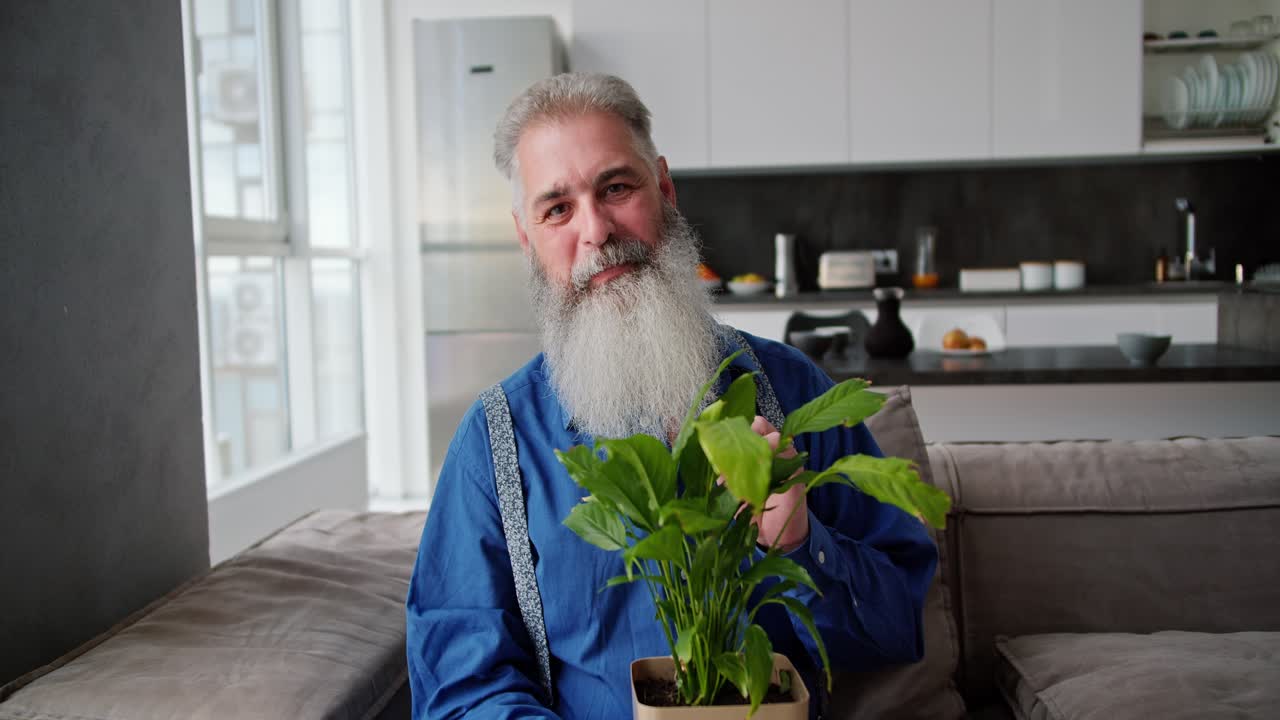 retrato de un hombre mayor feliz con cabello gris con una barba exuberante y una camisa azul que está sentado en el sofá y sostiene una planta de interior verde en una olla en sus manos en un apartamento moderno