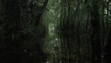 Flotando-A-Través-Del-Río-Rodeado-De-Desierto-Oscuro-Y-Denso