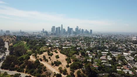 un drone muestra árboles del bosque en los suburbios de la ciudad de la