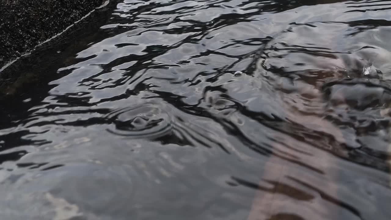 Raindrops Creating Ripples on Water Surface