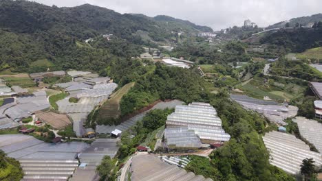 general landscape view of the brinchang district within the cameron highlands area of malaysia