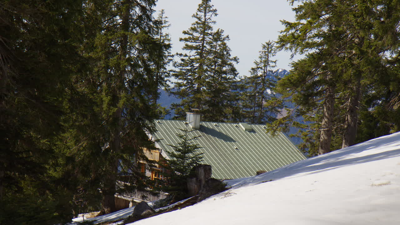 Mountain Cabin In Snowy Forest, Surrounded By Tall Pine Trees In Winter In German Alps. Wide shot
