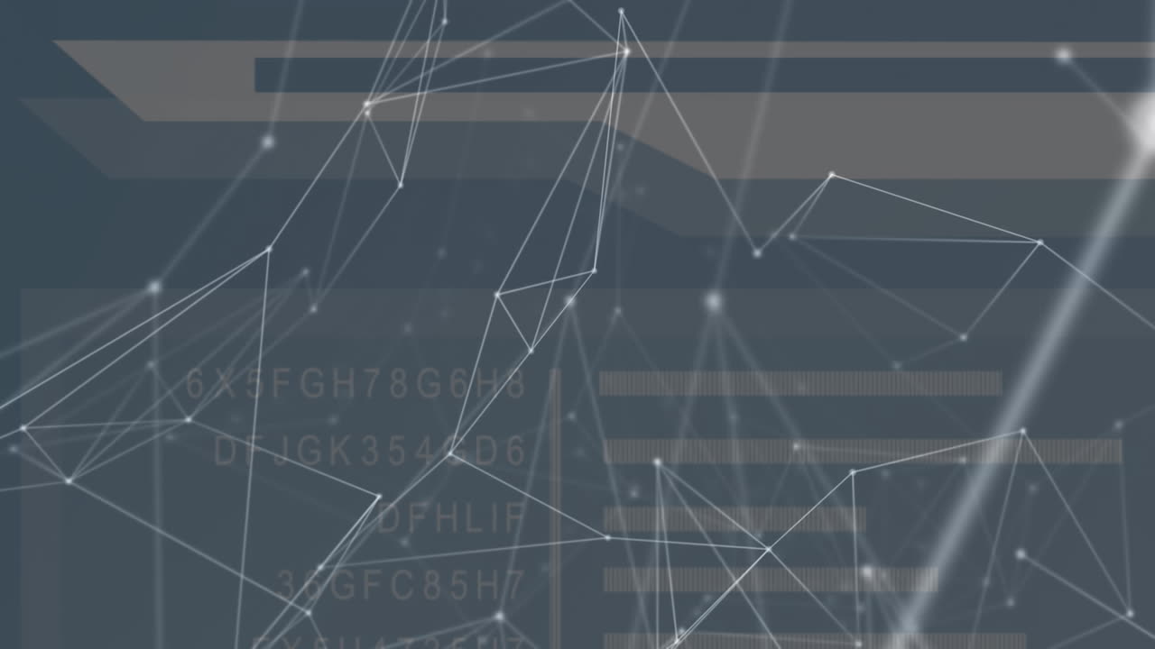 animación de la red de conexiones a través del procesamiento de datos