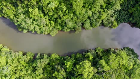 Top-View-Of-Stream-Between-Dense-Rainforest-At-Rio-Yuma-In-Dominican-Republic