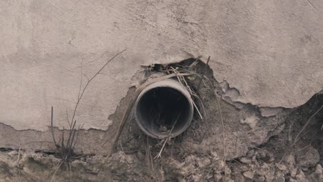 pulling away from exposed pipe drain on side of building