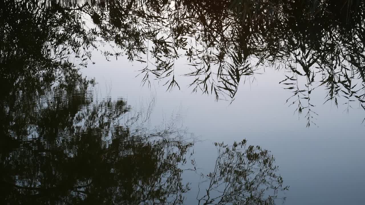 Lake with reflection of trees and sky.