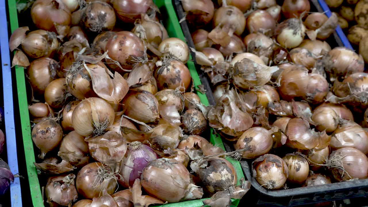 In a lively marketplace, a wide array of fresh onions sits stacked in colorful crates