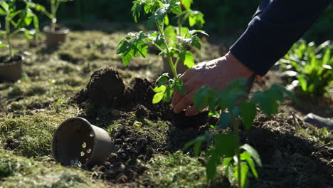Slow-Motion of a woman doing garden work