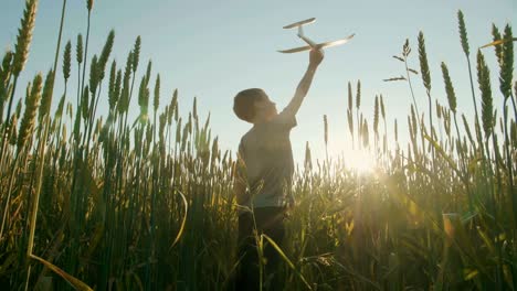 child playing with airplane in wheat field at sunset