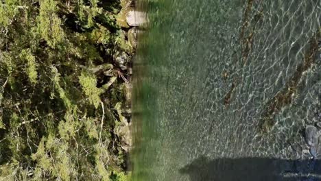 Vertical-of-crystal-clear-glacial-fed-river-surrounded-by-native-rainforest-in-Haast-west-coast-New-Zealand