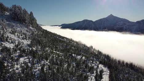 cloud shelf aerial snowy mountains on vancouver island, canada