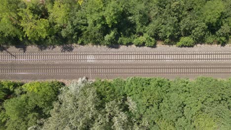 a top-down aerial view of an electric train moving along railway tracks through a densely wooded area. the train cuts through the green forest, .
