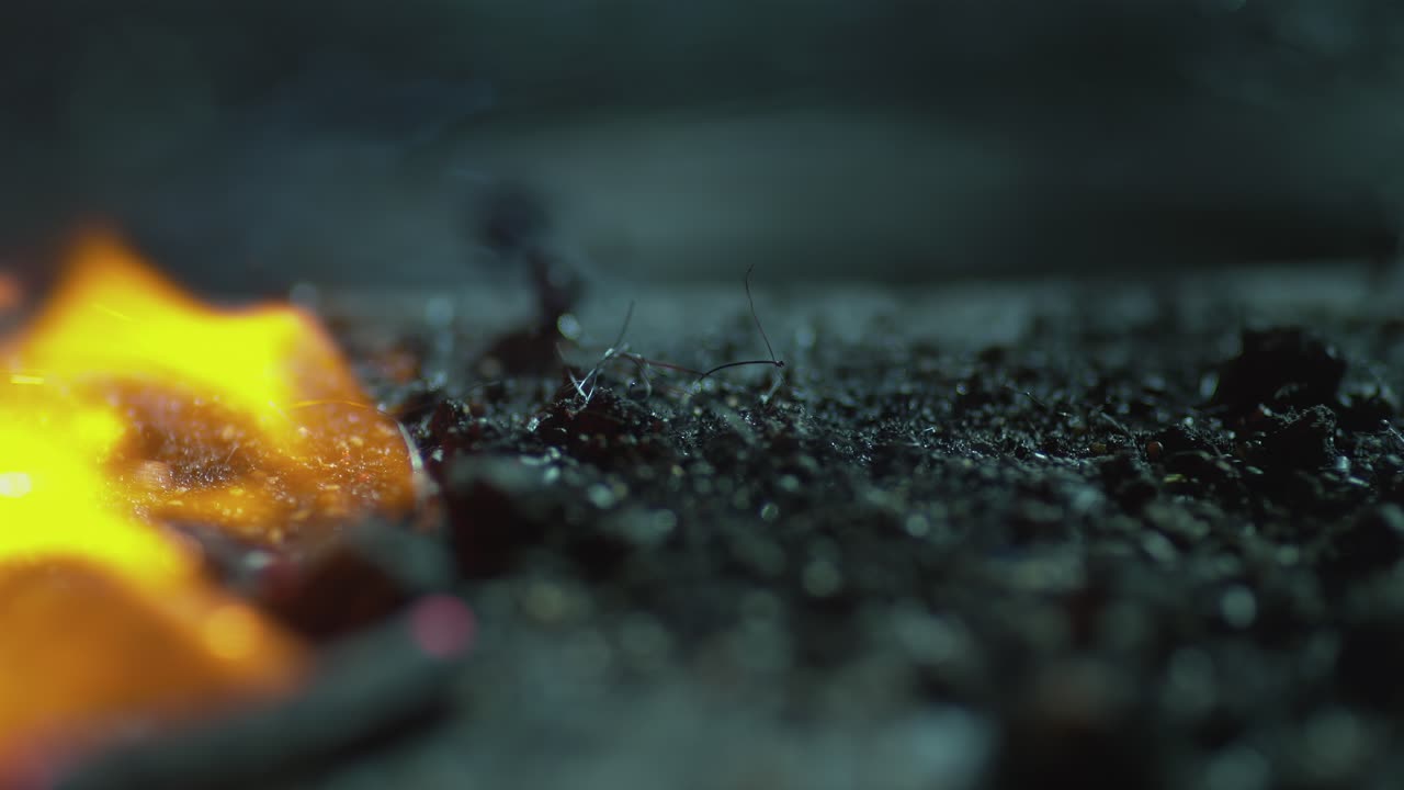 Flames and Wind Separate The Pieces
