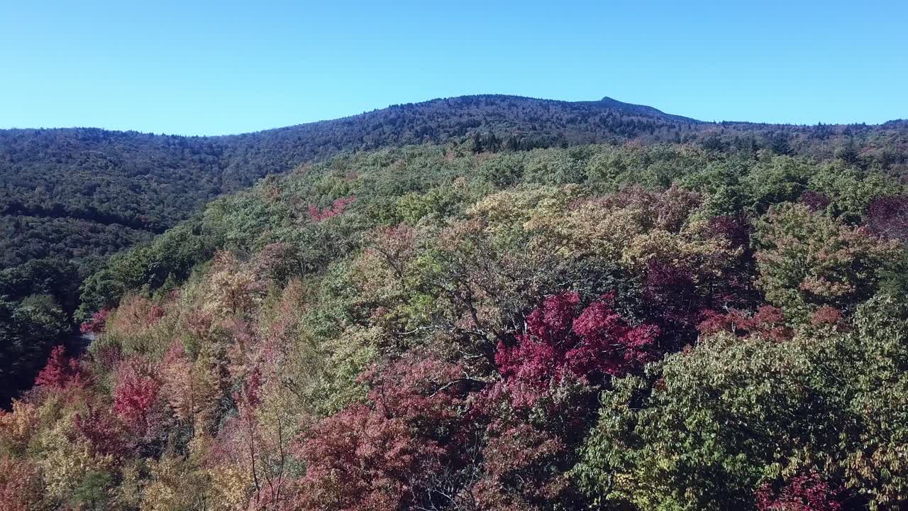 color de hoja de otoño aéreo en la cima de la montaña del abuelo en 4k