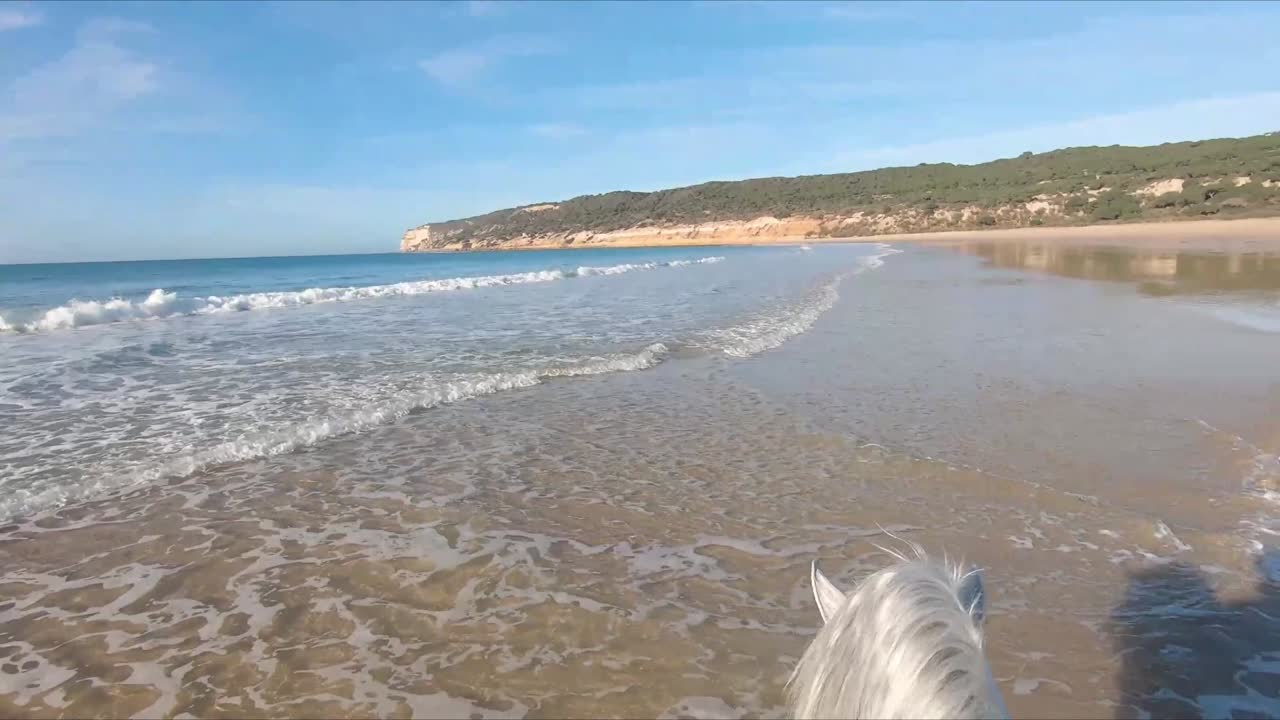 cavaleiro montando um cavalo branco, na margem de uma bela praia