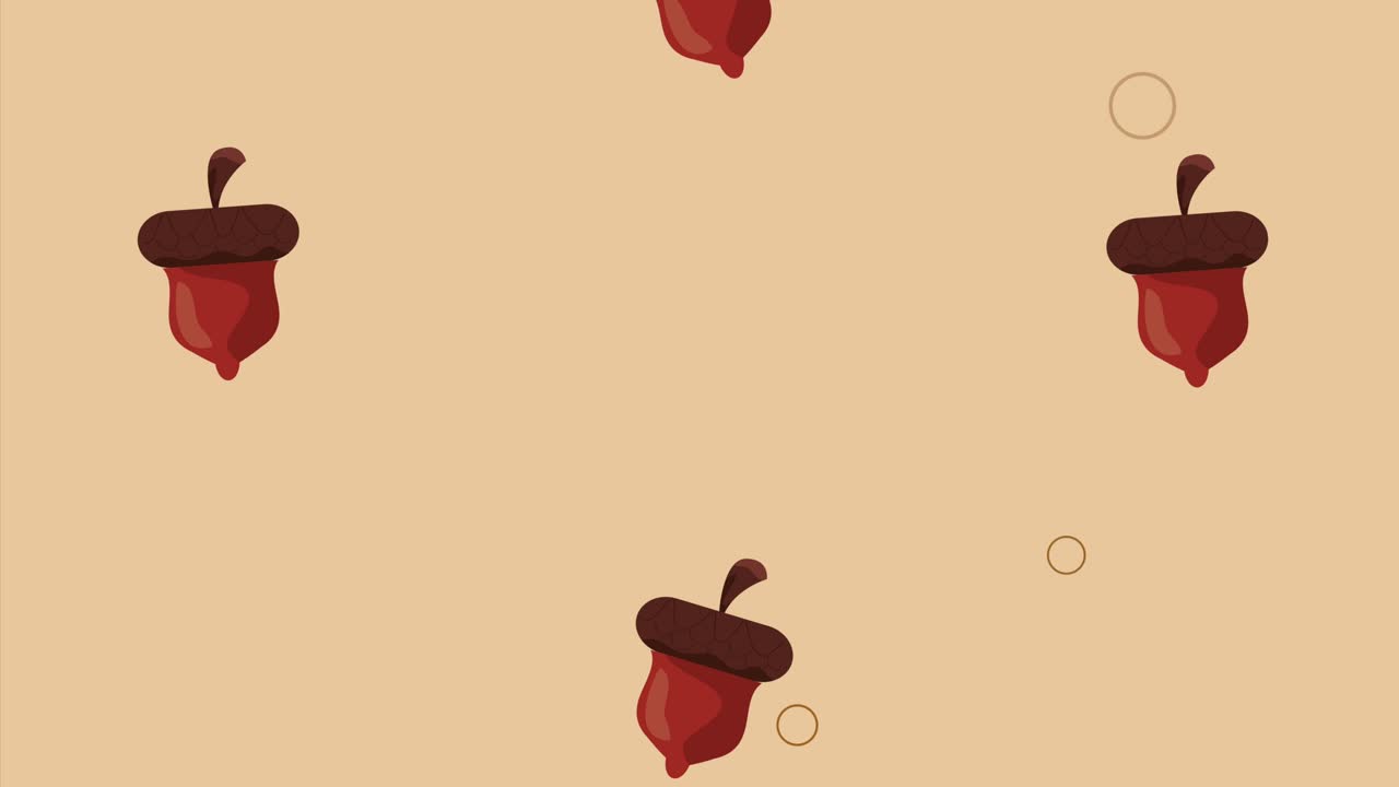 acorns seeds autumn season pattern