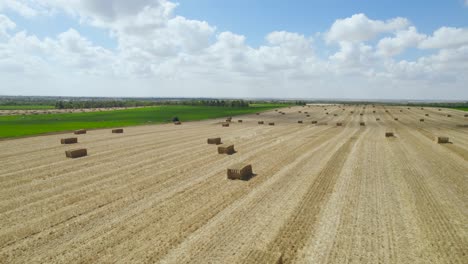 Campos-De-Paja-En-El-Asentamiento-De-Sdot-Negev,-Israel