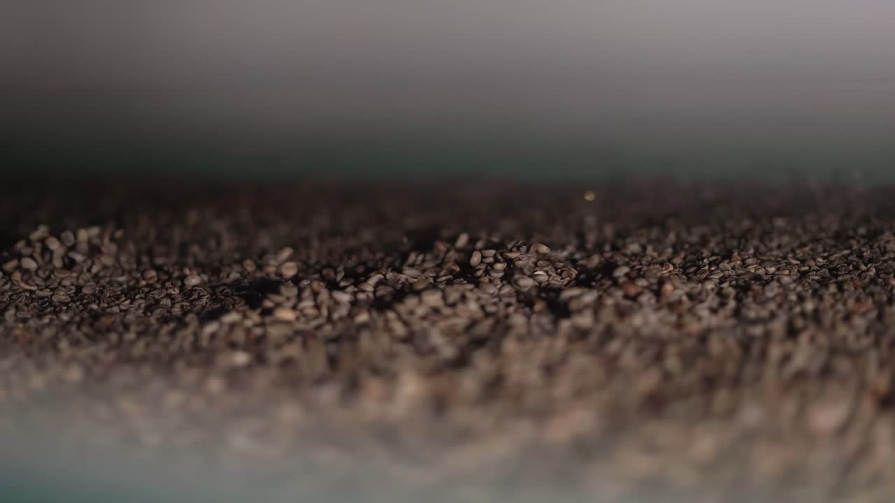 Roasted coffee beans inside a bean cleaning and grading machine