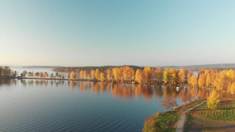 crane shot of beautiful landscape of golden trees nearby a peaceful lake in october