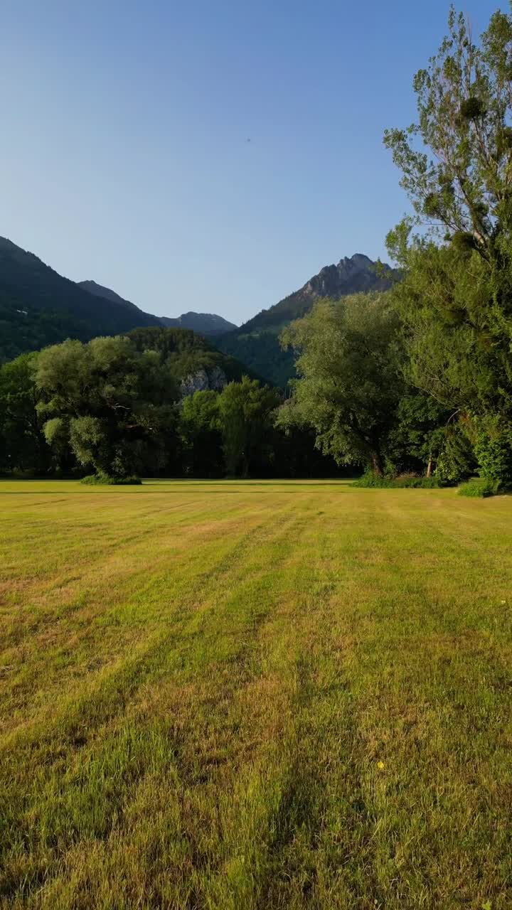 Campo erboso ripreso da drone che porta al Lago di Walen e al villaggio di Weesen in Svizzera, video verticale