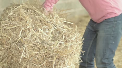 woman moving bale of hay in barn