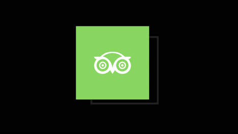 green square logo with owl