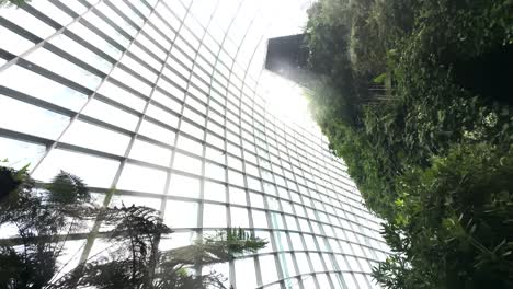 cloud forest dome at the gardens by the bay in downtown singapore