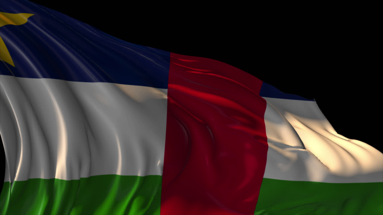 중앙아프리카 공화국의 발