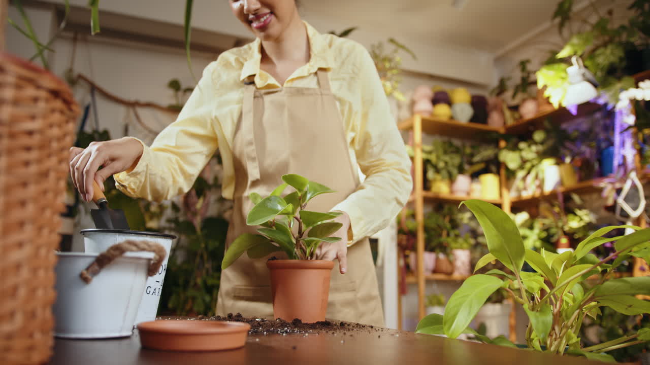 mujer repotando una planta en una floristería