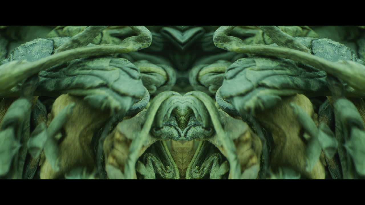 Close-up of Green Tea Leaves