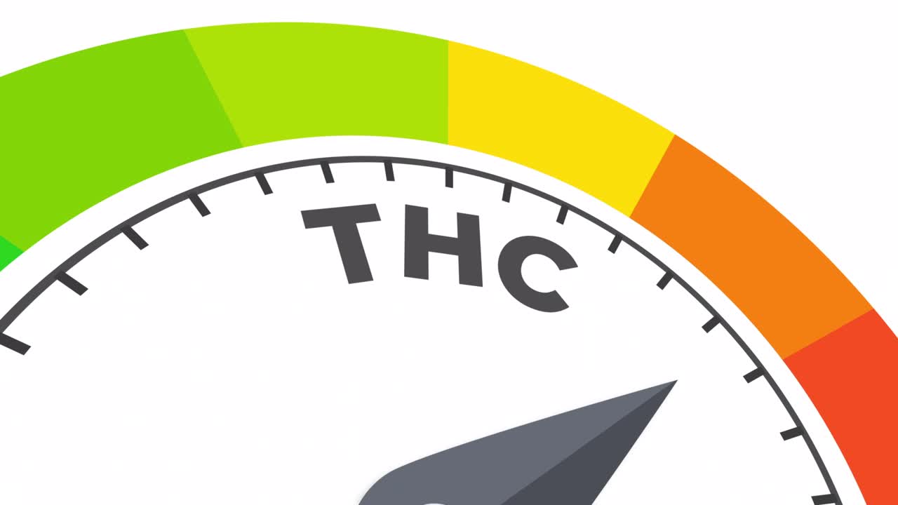 thc 레벨 애니메이션