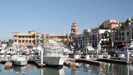 cabo port 02