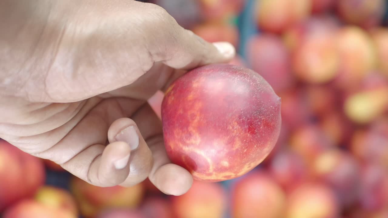 Primo piano di una mano che tiene in mano una pesca noci