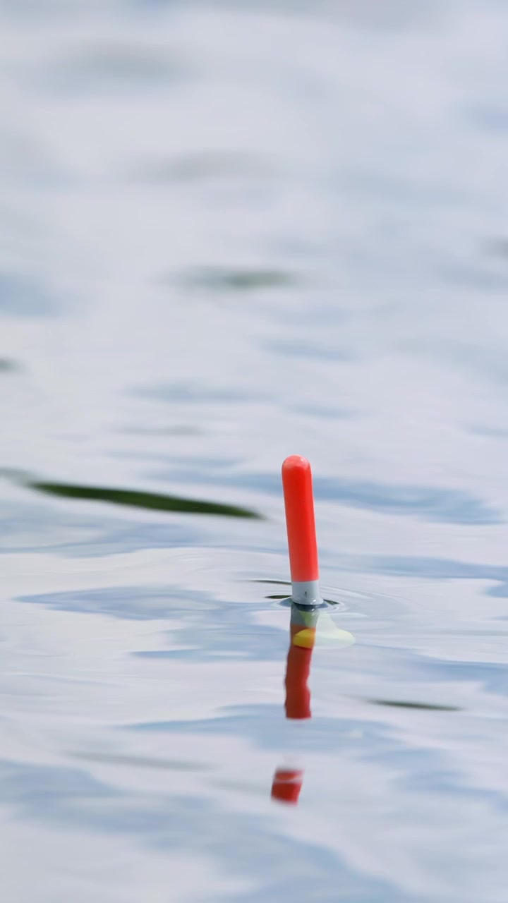 Red Fishing Float Bobbing Gently on Calm Water Surface