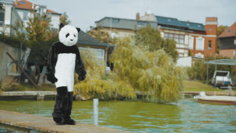 wide shot of a guy in panda costume working out on a pier at a lake - slomo