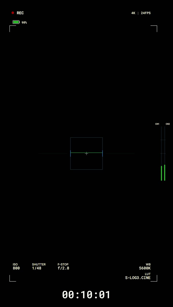 Digital Camera Viewfinder Interface Overlay