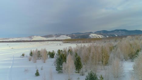 snowy winter landscape with trees and mountains