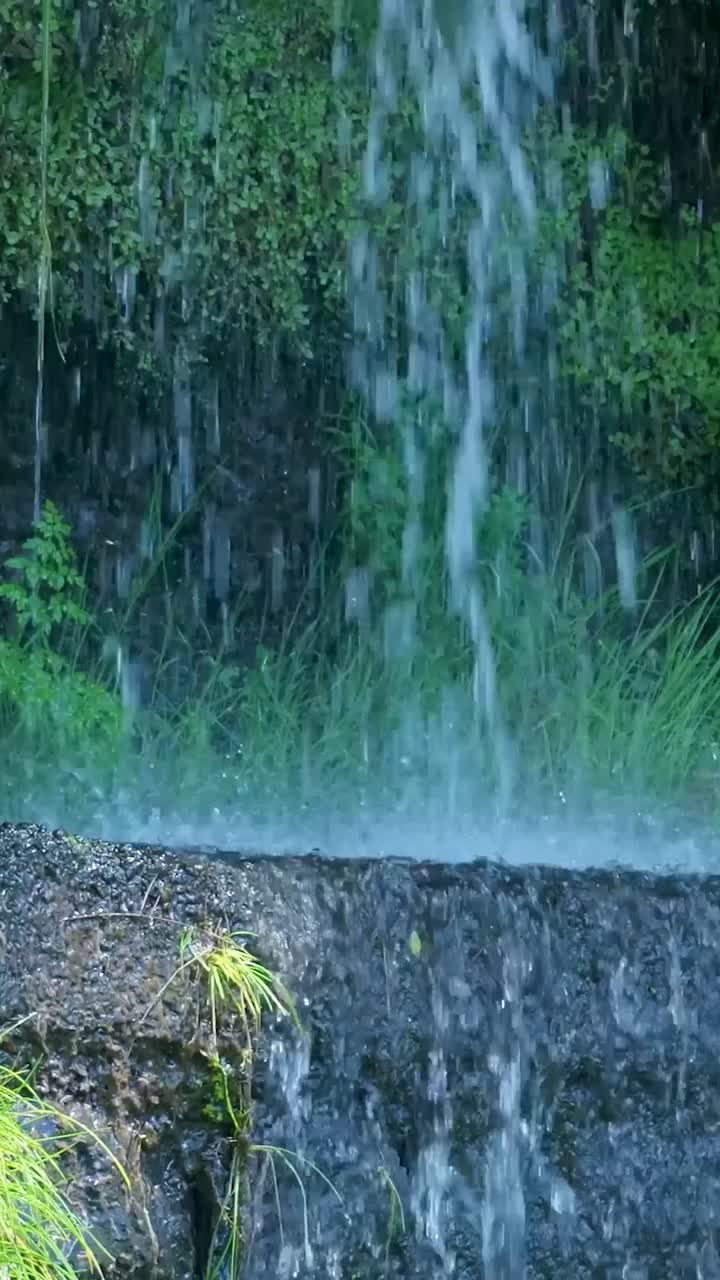 Serene Waterfall with Lush Green Vegetation and Flowing Water