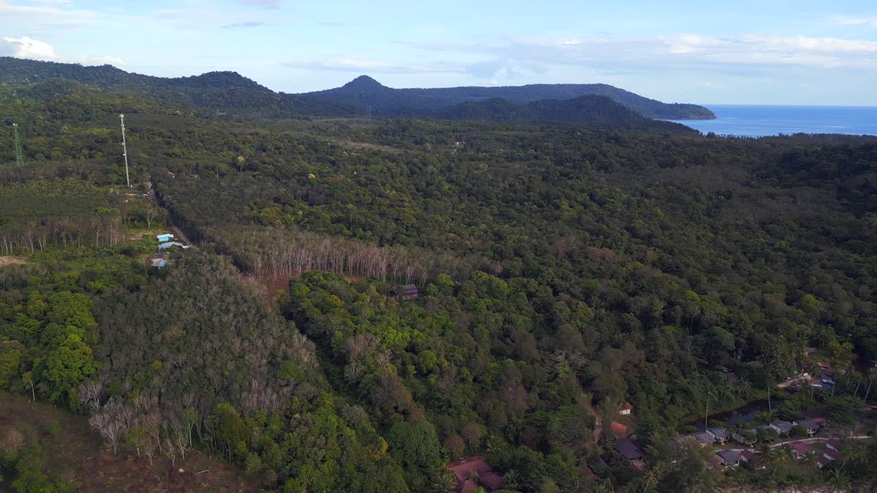 하게 자란 휴양 섬 파라다이스