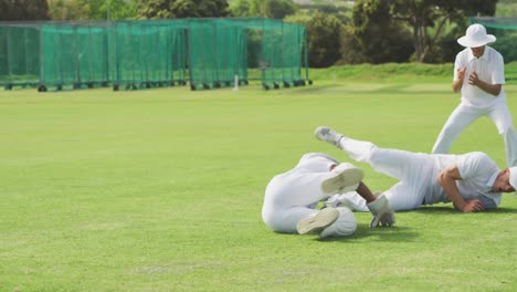 Jugadores-De-Cricket-Atrapando-La-Pelota-En-El-Campo