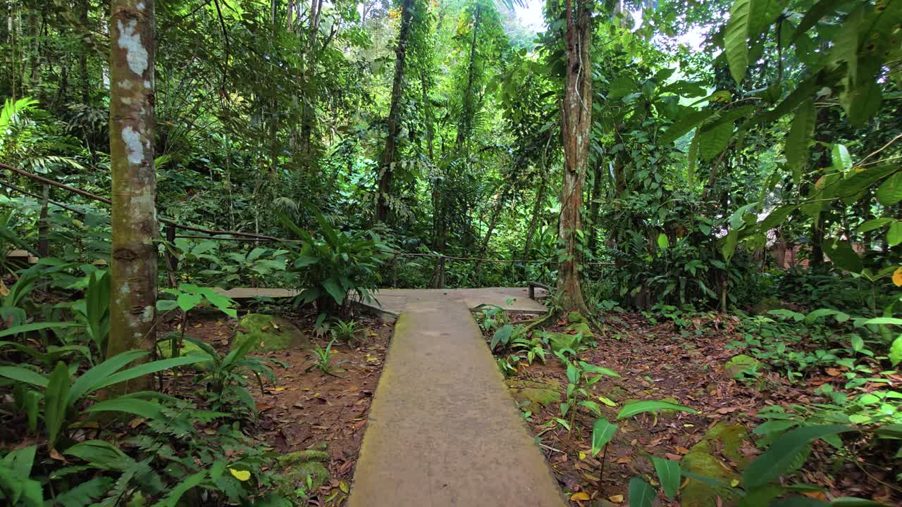 Push-in shot along a concrete path surrounded by lush rainforest at Mari Mari Cultural Village, Kota Kinabalu, Sabah, Malaysia