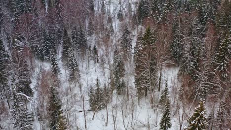 Vuelo-A-Un-Pequeño-Pueblo-Entre-Bosques-Nevados-En-Invierno