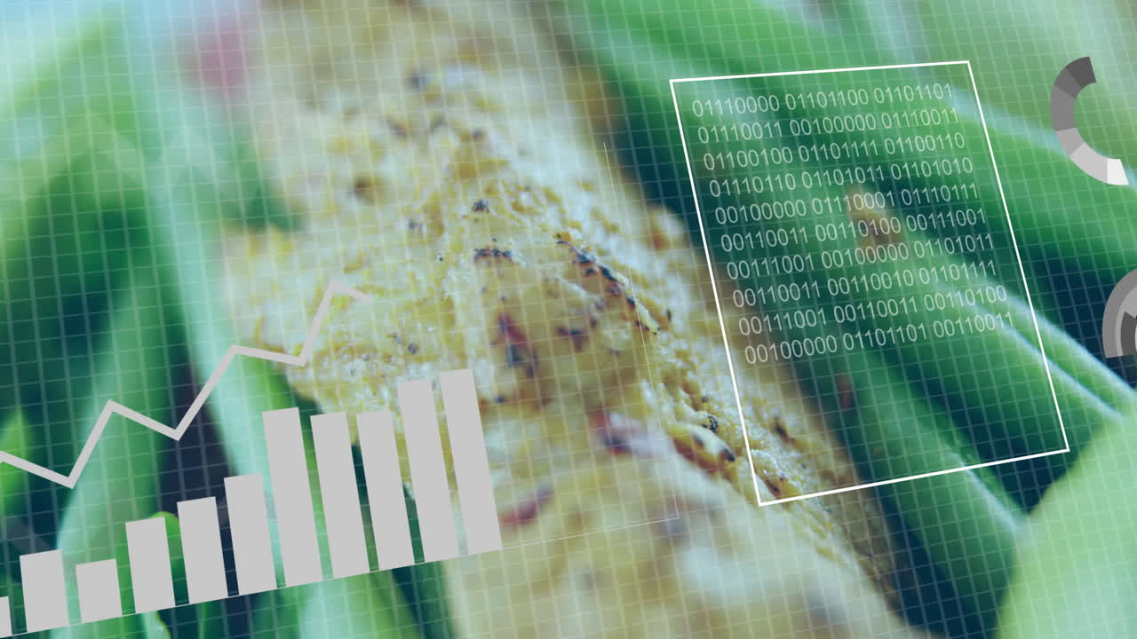 Bar graph and binary code animation over close-up of corn plant